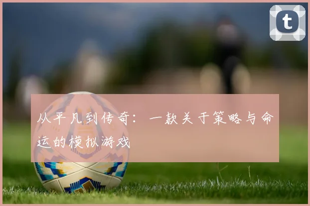 从平凡到传奇：一款关于策略与命运的模拟游戏